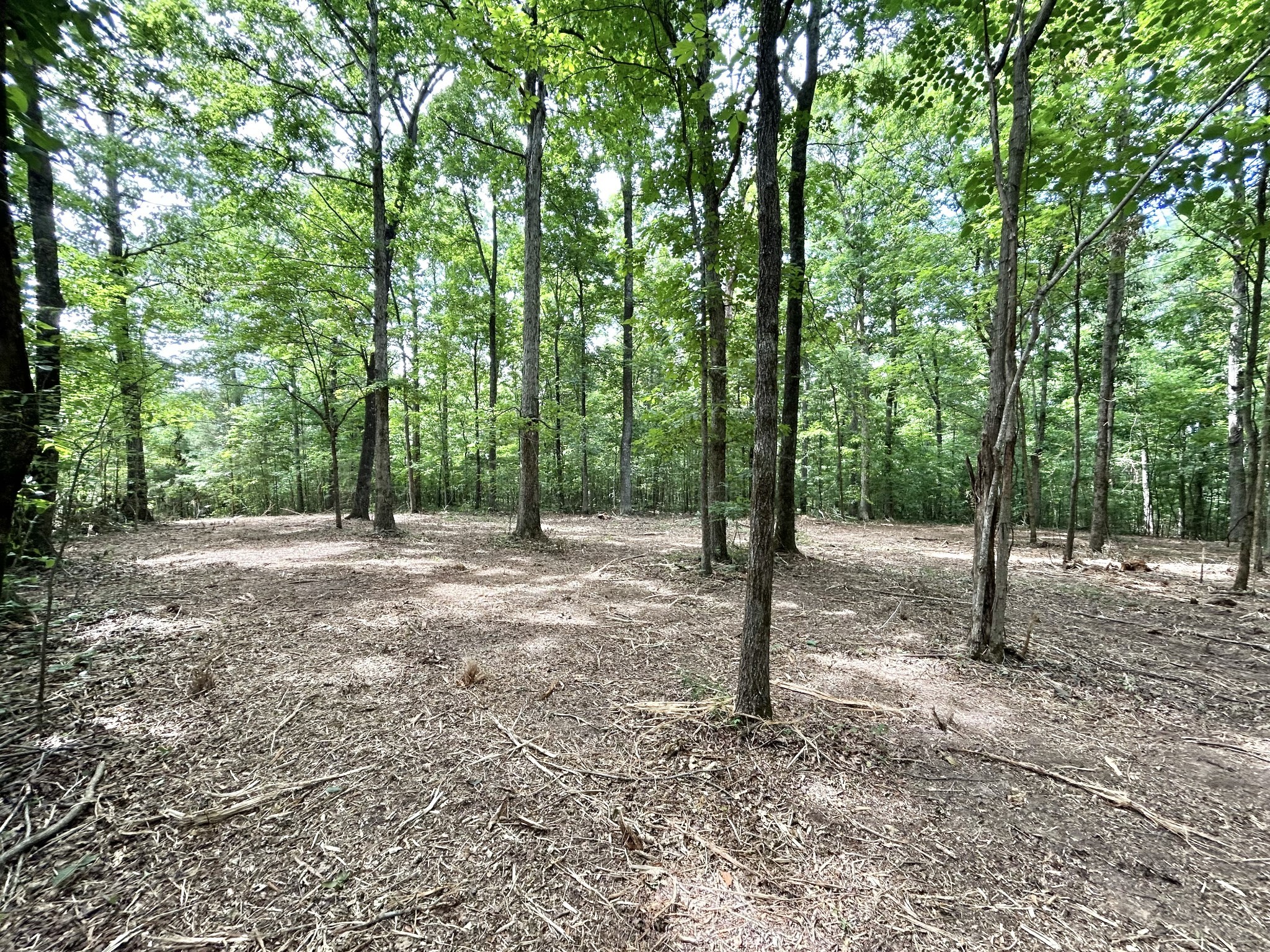 3 Whippoorwill Road Lebanon, TN 37090 - Photo 26 of 29
