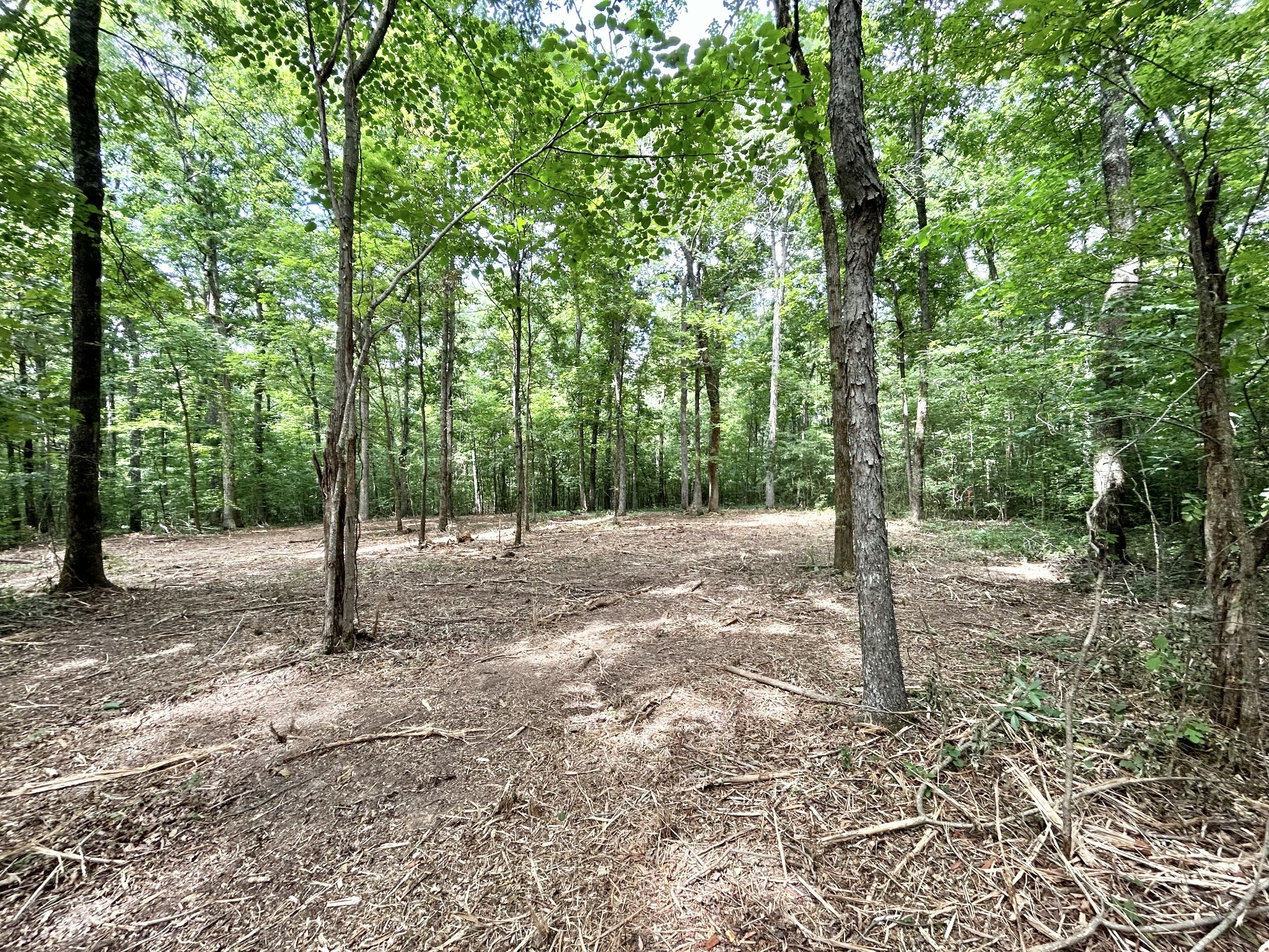 3 Whippoorwill Road Lebanon, TN 37090 - Photo 27 of 29