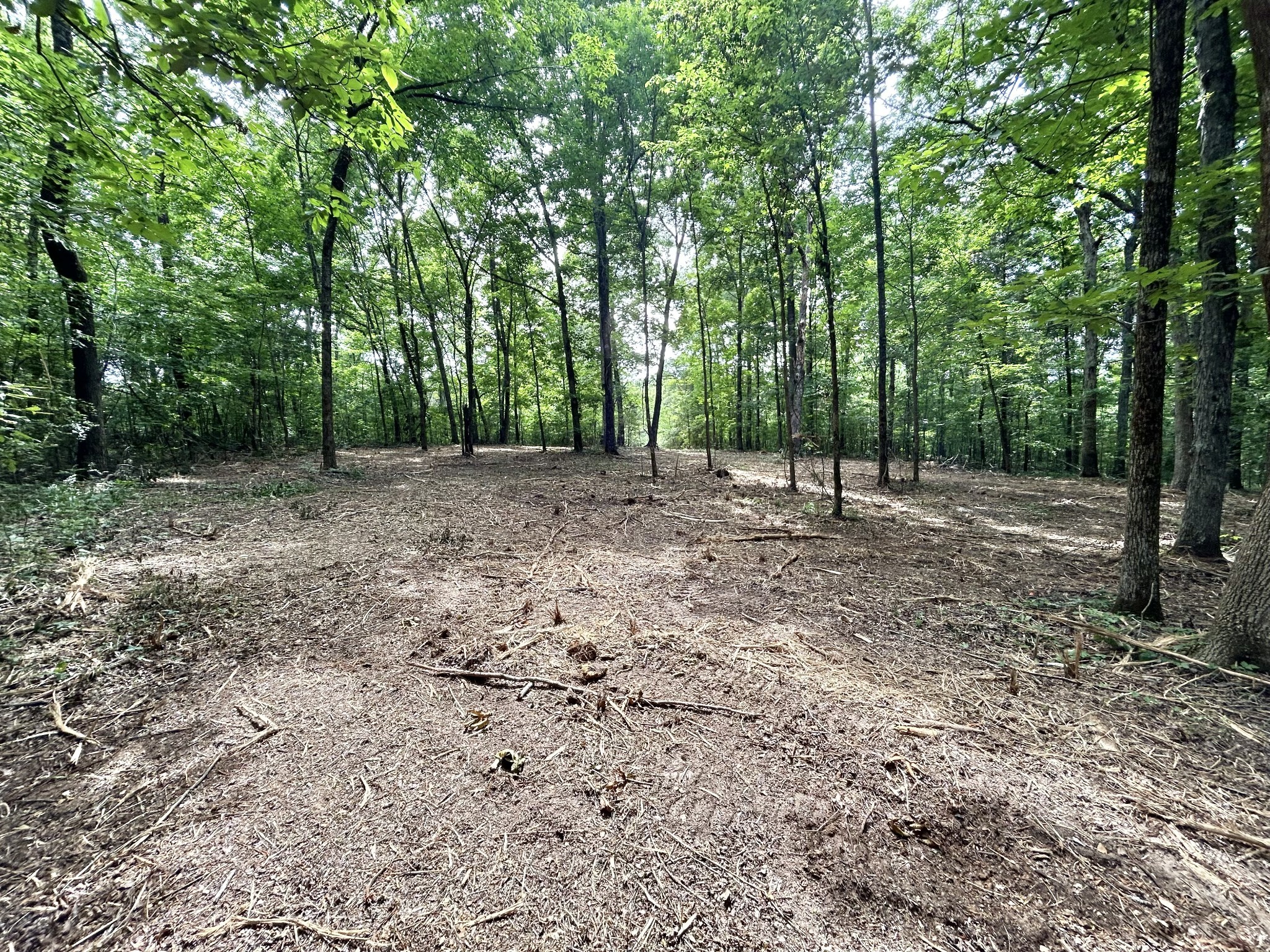 3 Whippoorwill Road Lebanon, TN 37090 - Photo 28 of 29