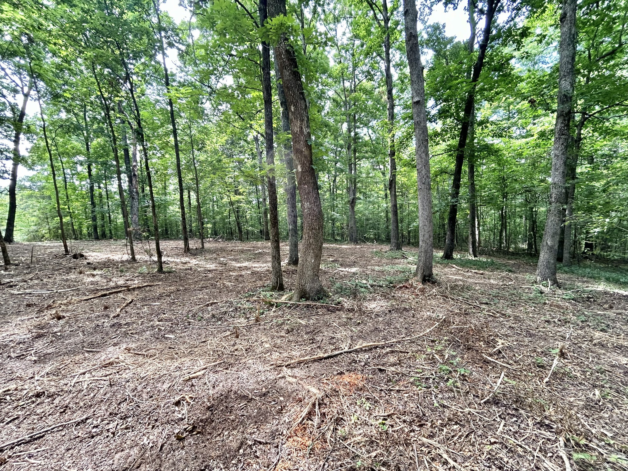3 Whippoorwill Road Lebanon, TN 37090 - Photo 29 of 29