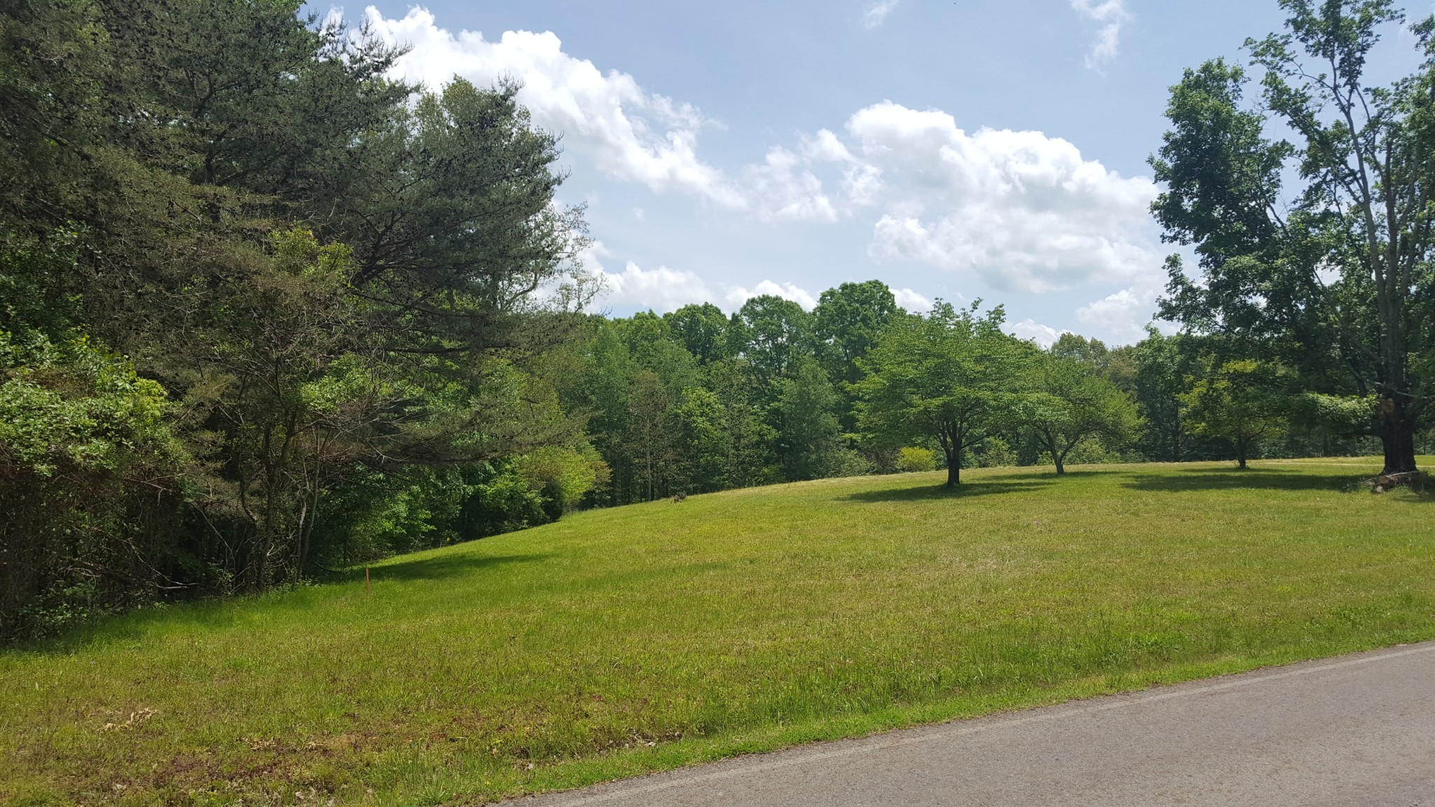 2 Mt Pleasant Road Kingston Springs, TN 37082 - Photo 5 of 13 Gallery Image 5
