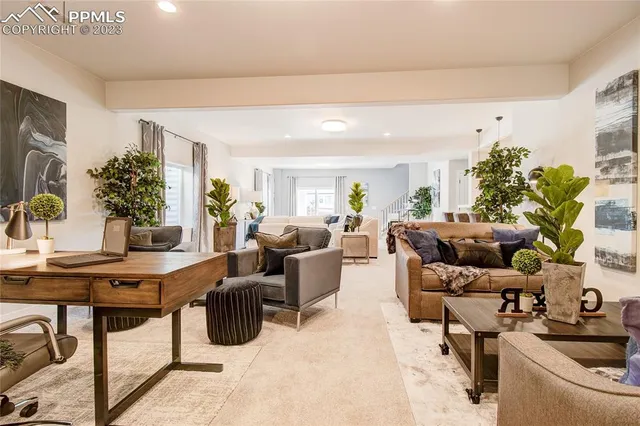 a living room with furniture potted plant and a window