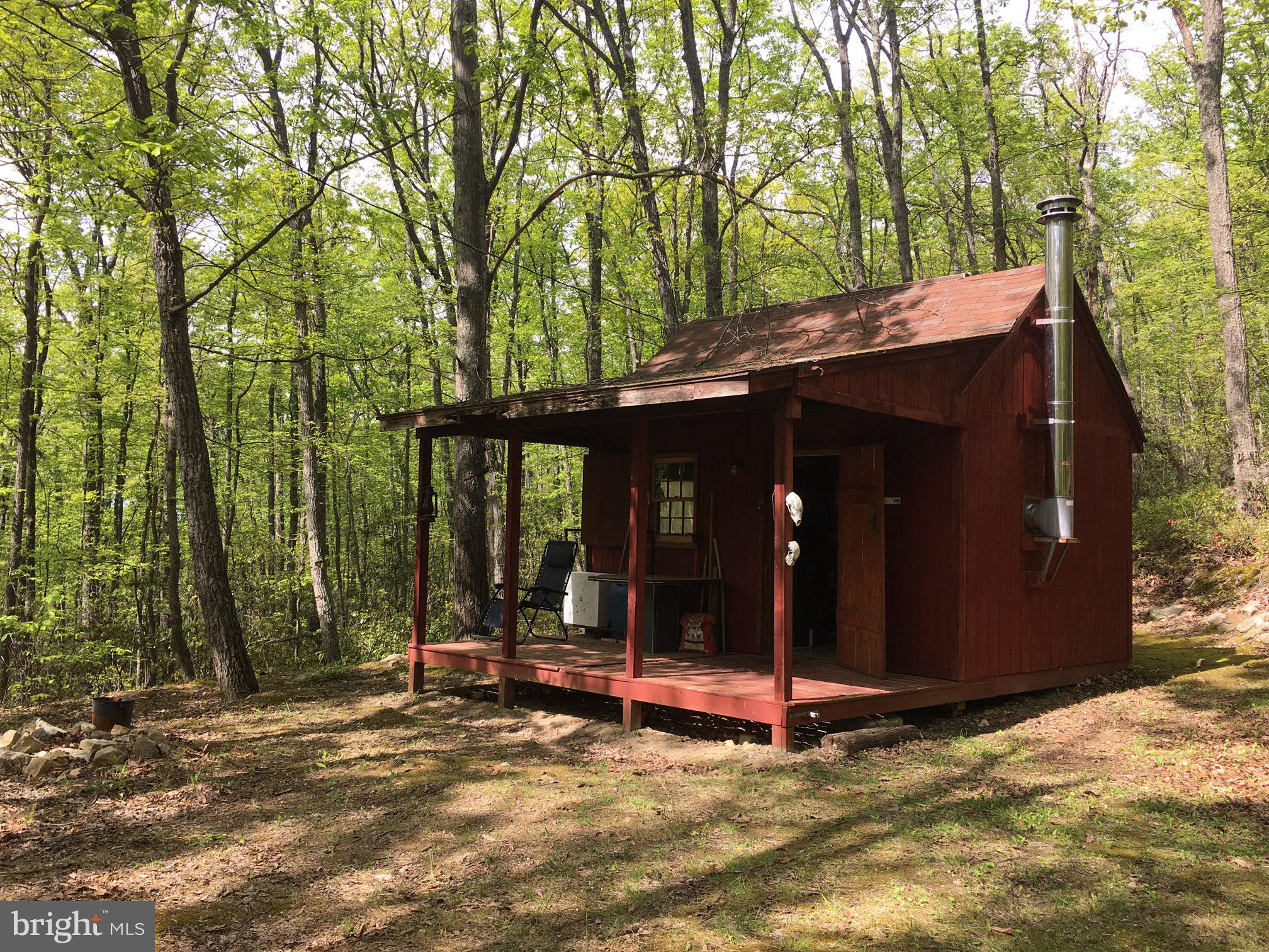 Sawlog Road Gore, VA 22637 - Photo 1 of 35
