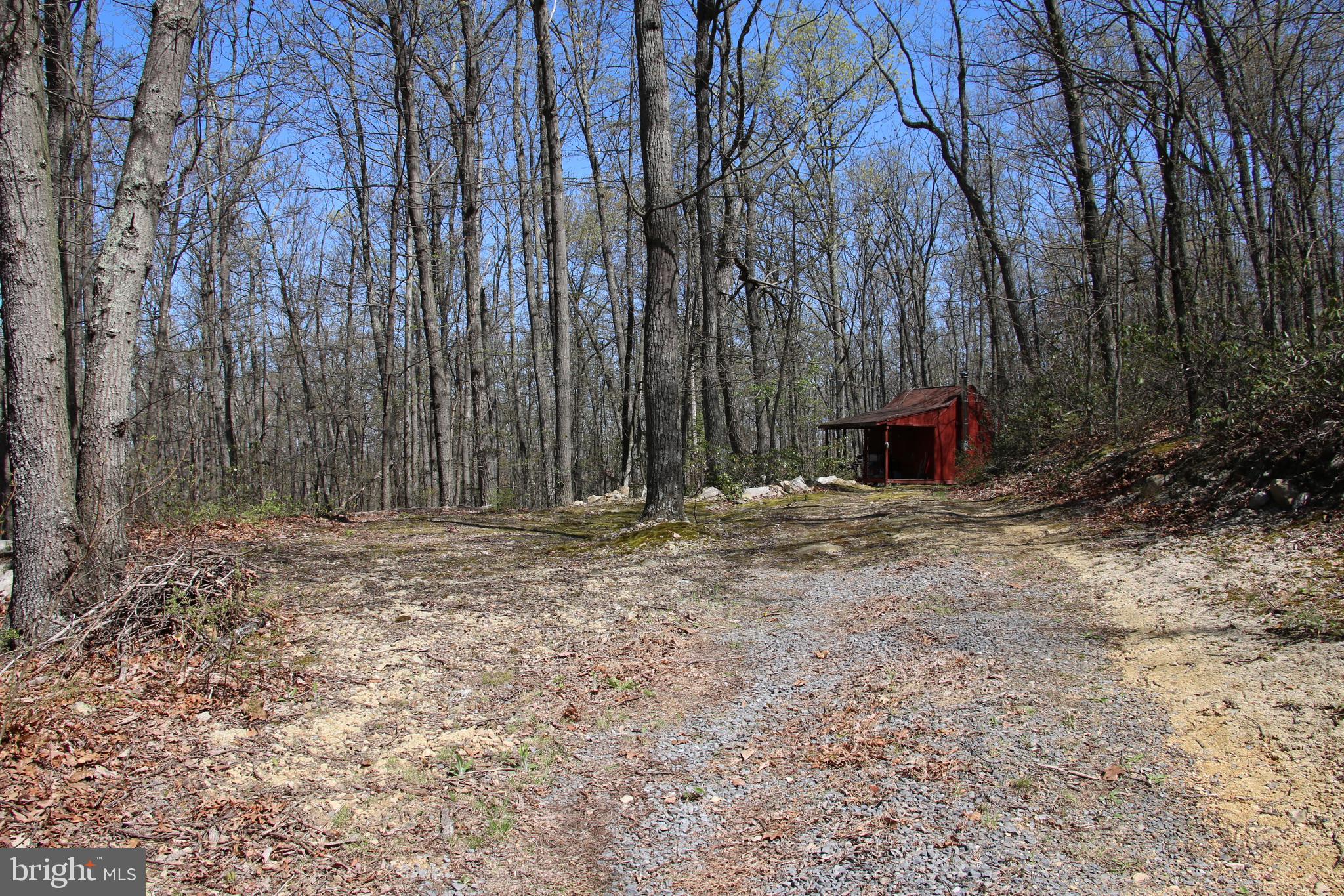 Sawlog Road Gore, VA 22637 - Photo 12 of 35