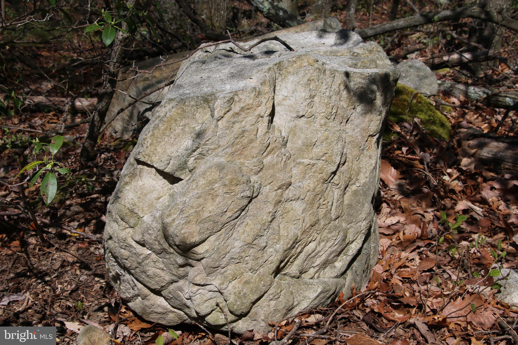 Sawlog Road Gore, VA 22637 - Photo 13 of 35