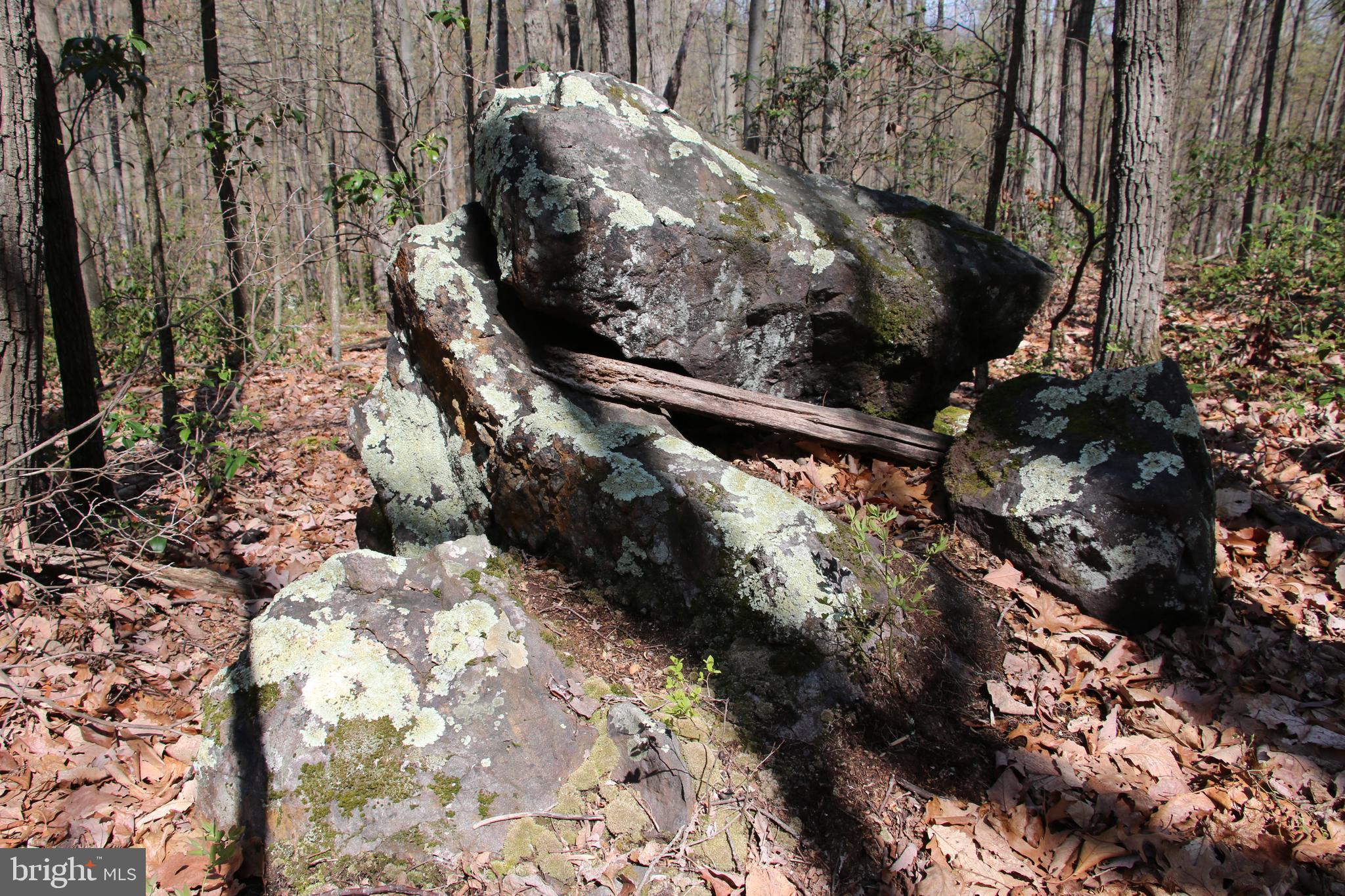 Sawlog Road Gore, VA 22637 - Photo 16 of 35