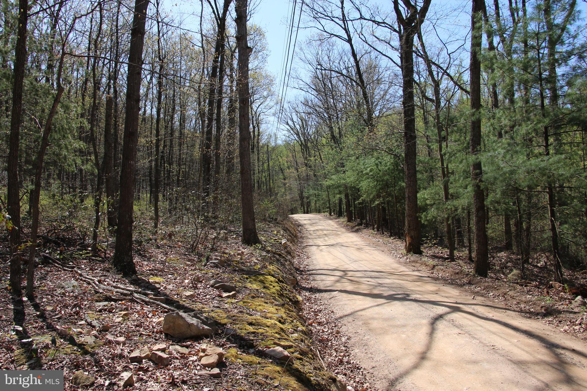 Sawlog Road Gore, VA 22637 - Photo 20 of 35