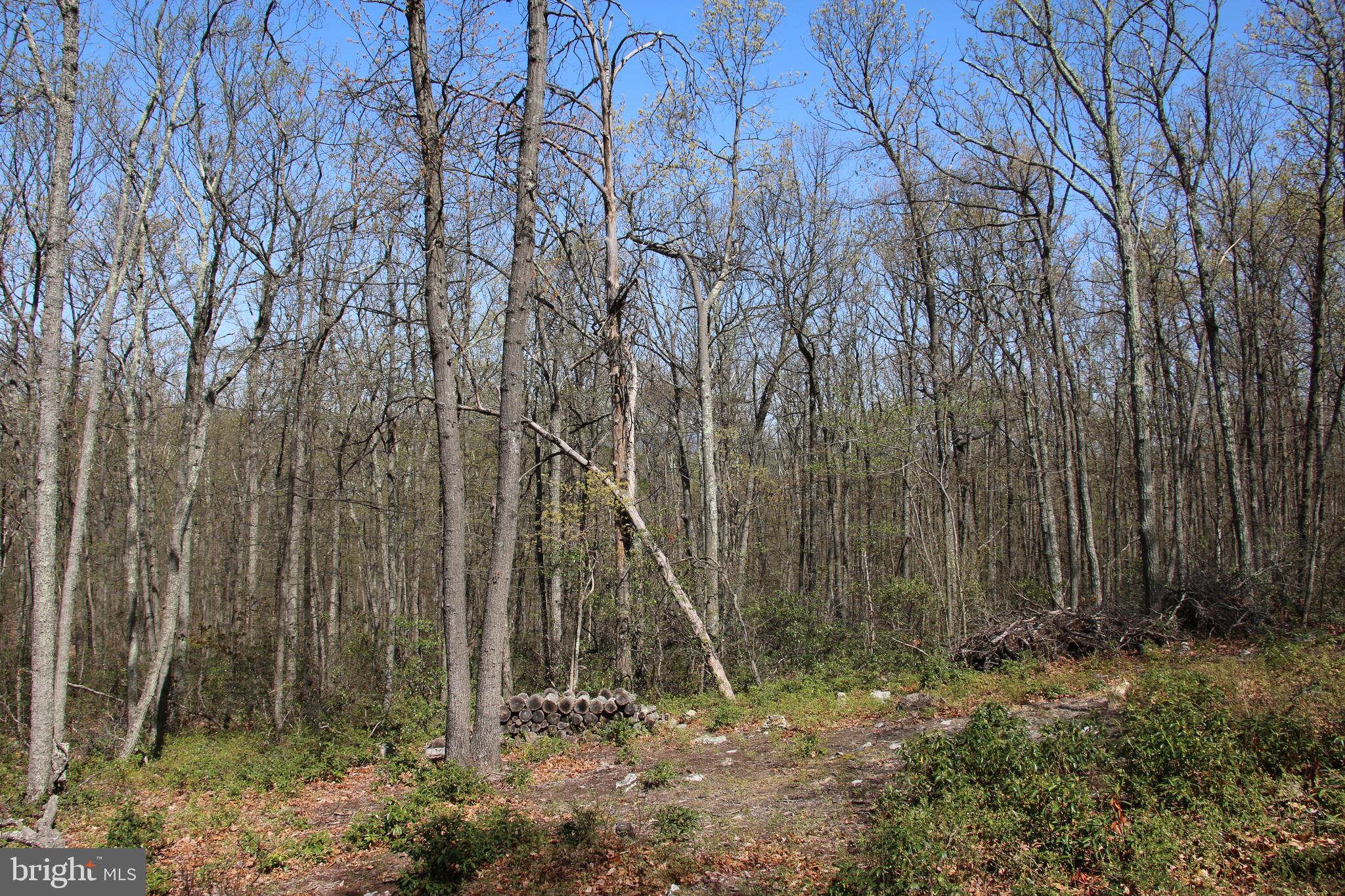 Sawlog Road Gore, VA 22637 - Photo 21 of 35