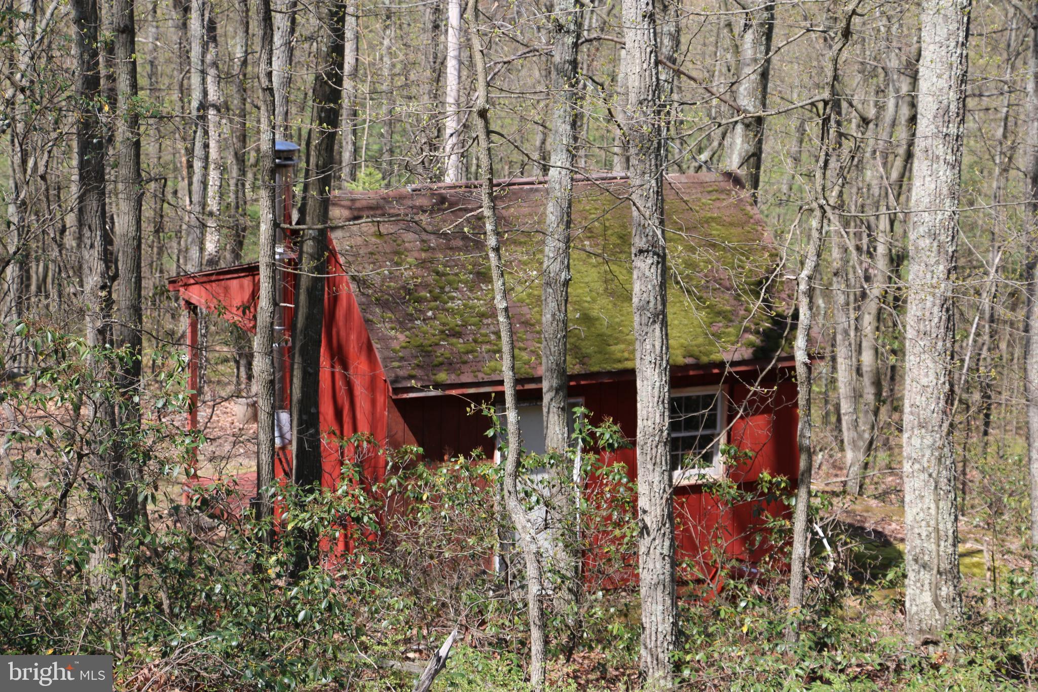 Sawlog Road Gore, VA 22637 - Photo 23 of 35
