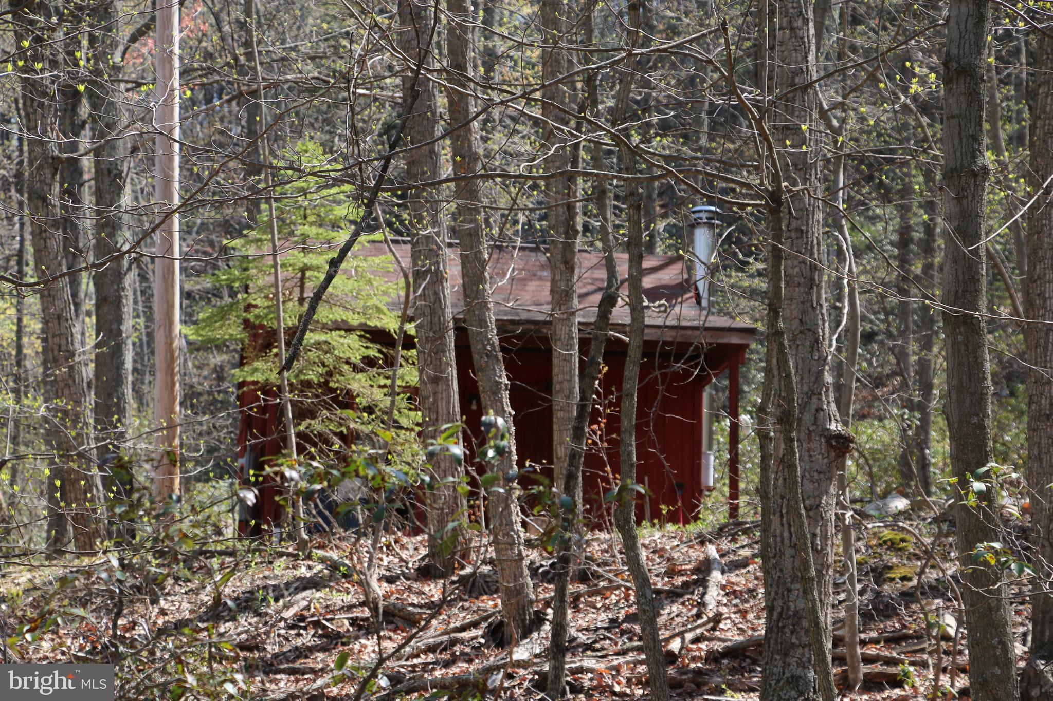Sawlog Road Gore, VA 22637 - Photo 25 of 35