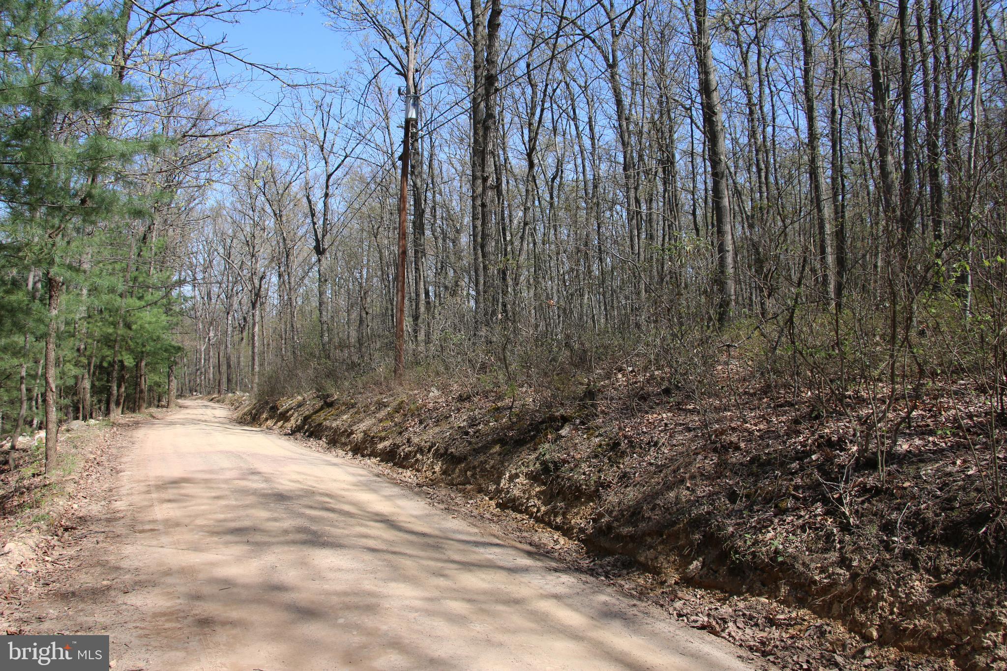 Sawlog Road Gore, VA 22637 - Photo 27 of 35