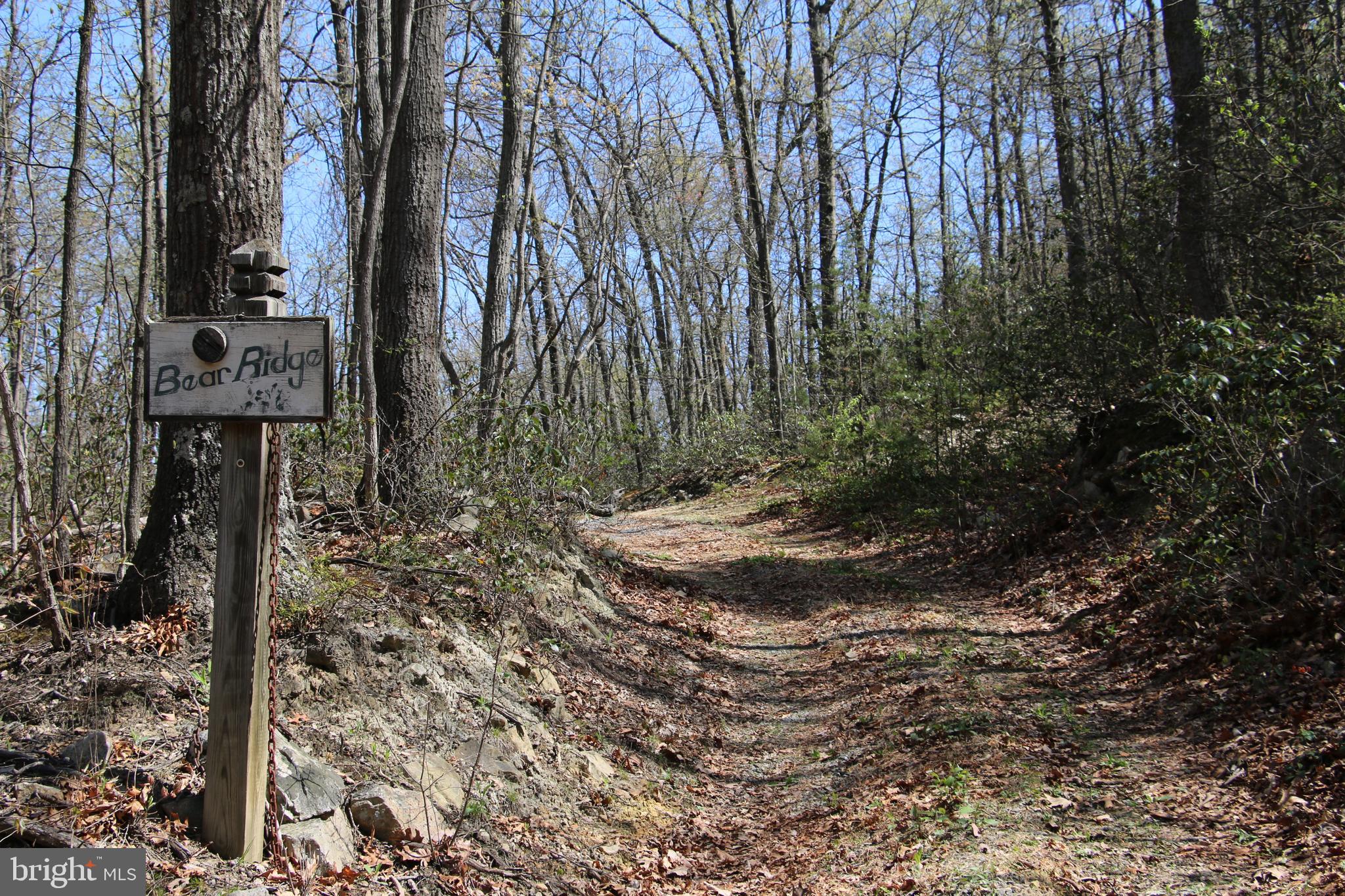 Sawlog Road Gore, VA 22637 - Photo 29 of 35