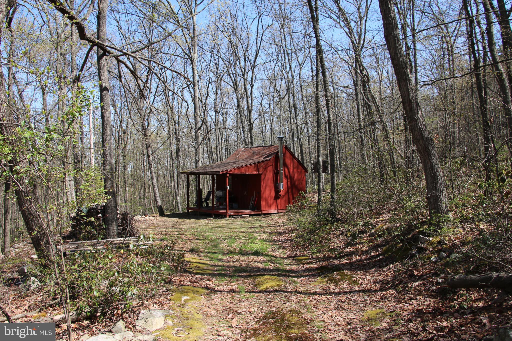 Sawlog Road Gore, VA 22637 - Photo 30 of 35
