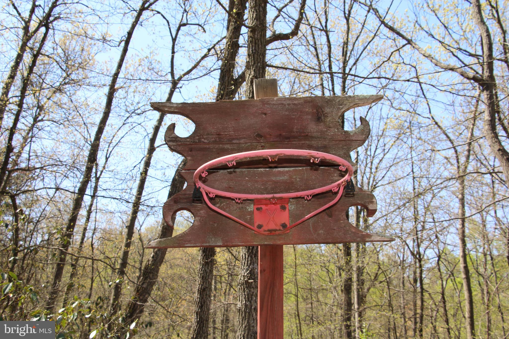 Sawlog Road Gore, VA 22637 - Photo 31 of 35