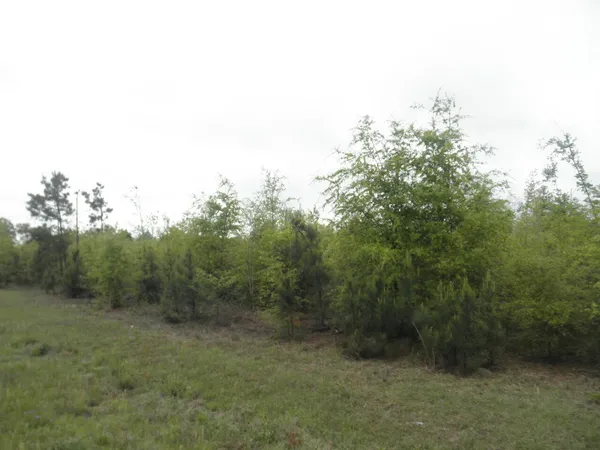 $375,000 | 0 Highway 23 Waynesboro Ga 30830, Waynesboro, GA 30830