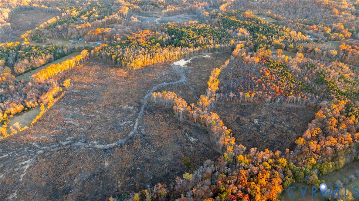 0 Kinneytown Road Mineral, VA 23117 - Photo 22 of 31 a view of a yard