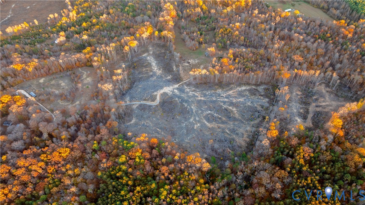 0 Kinneytown Road Mineral, VA 23117 - Photo 26 of 31 a view of tree