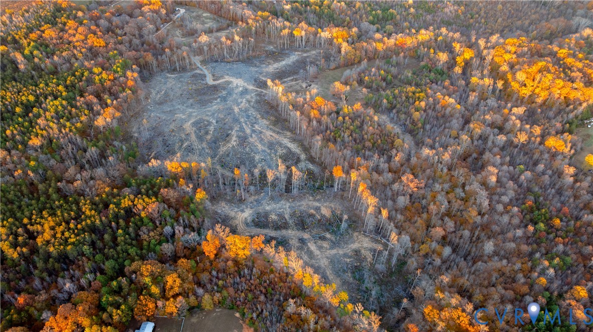 0 Kinneytown Road Mineral, VA 23117 - Photo 28 of 31 a view of a yard