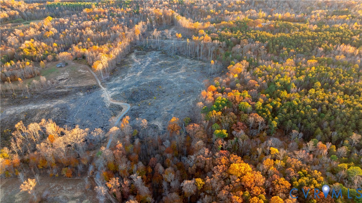 0 Kinneytown Road Mineral, VA 23117 - Photo 6 of 31 a view of a tree