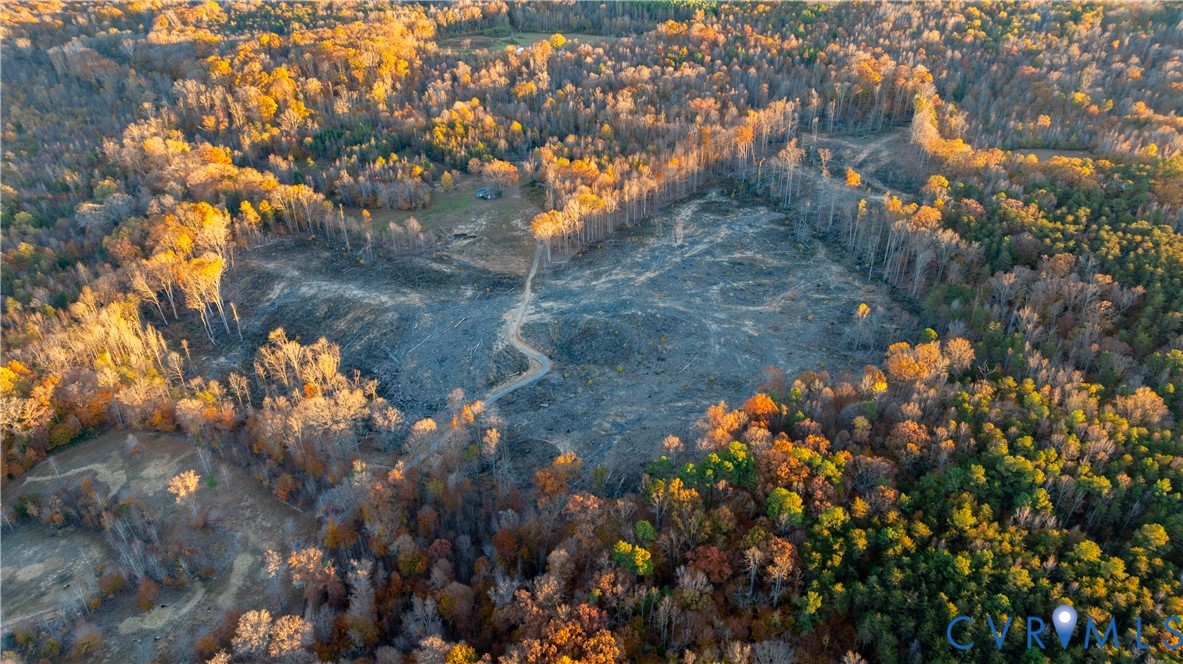 0 Kinneytown Road Mineral, VA 23117 - Photo 7 of 31 a picture of tree