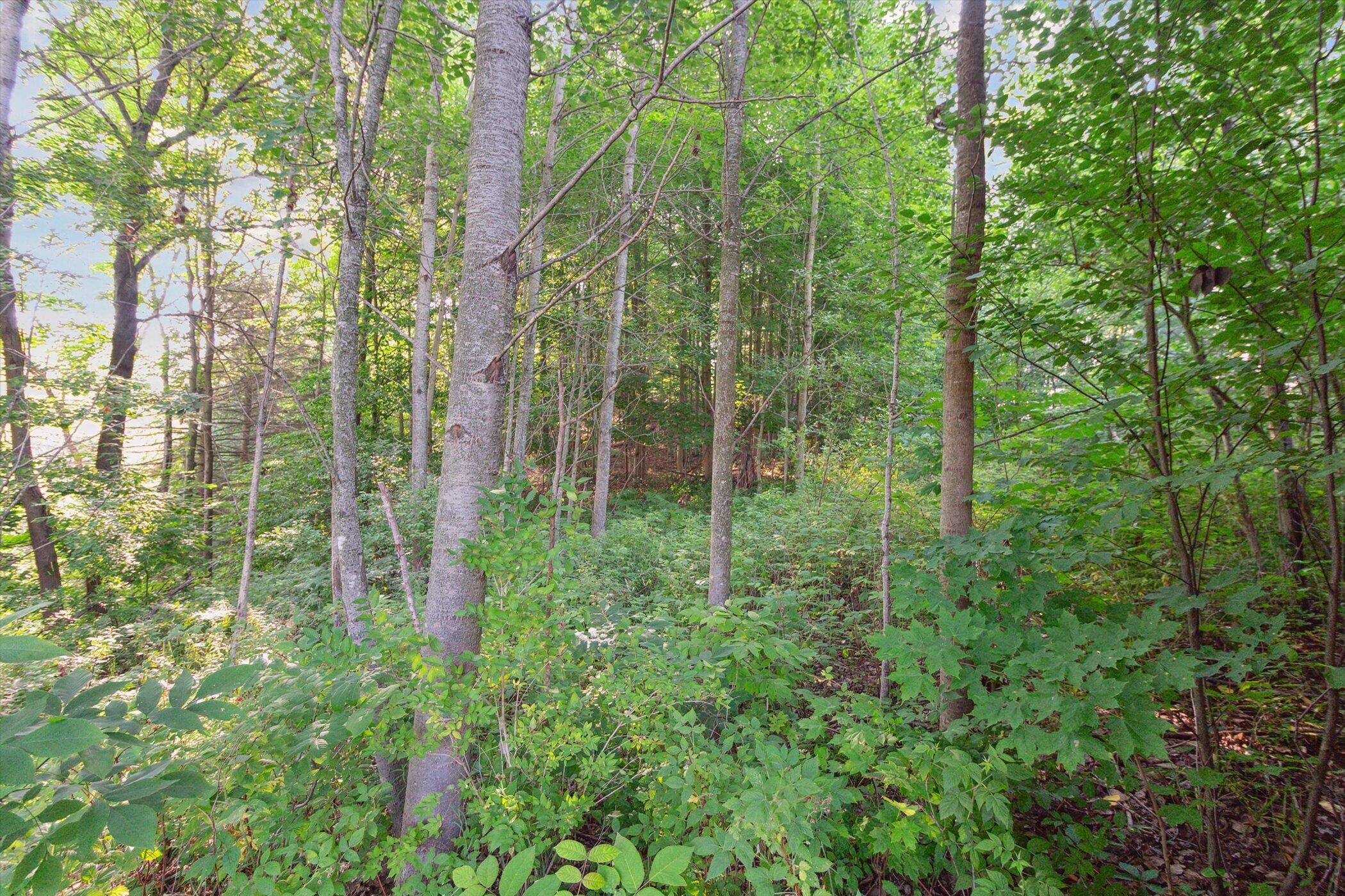 23901 22 Mile Road Paris, MI 49338 - Photo 49 of 74 49-23901-22-Mile-Rd-Paris-MI-49338-Windo