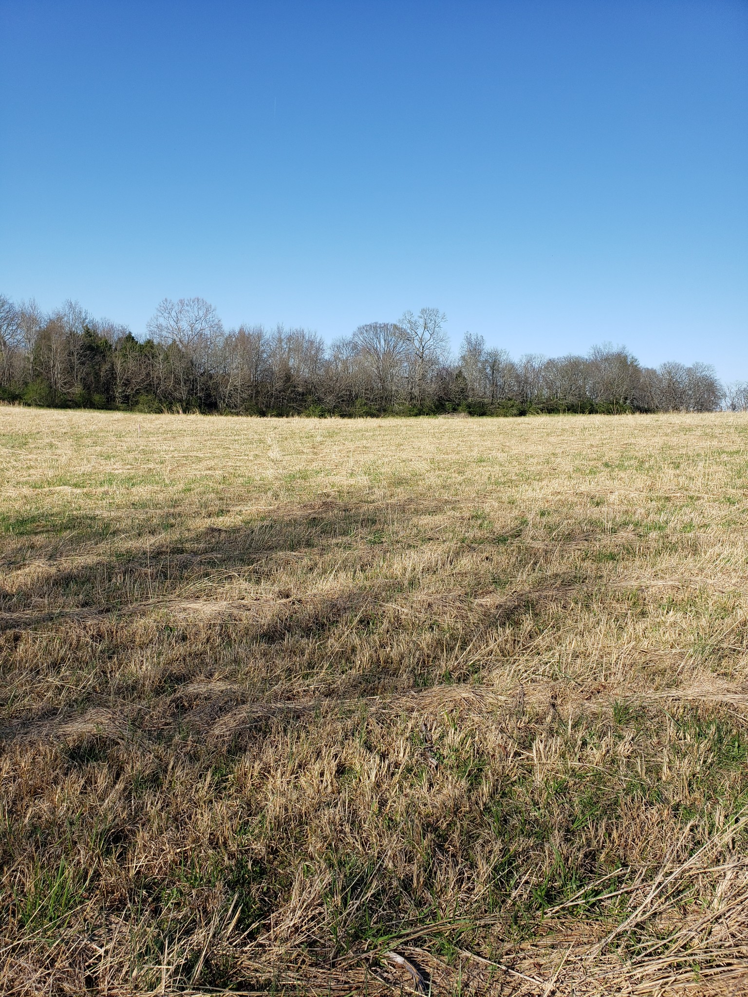 2 B Boyd Butler Road Columbia, TN 38401 - Photo 1 of 5 a view of lake with mountain in the back