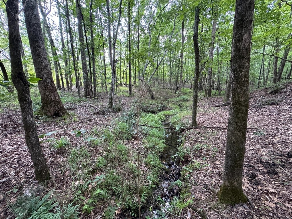0 Parker Island Road Equality, AL 36026 - Photo 2 of 15 Gallery Image 2