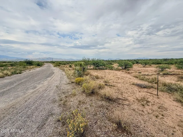 a view of a dry yard with wooden fence