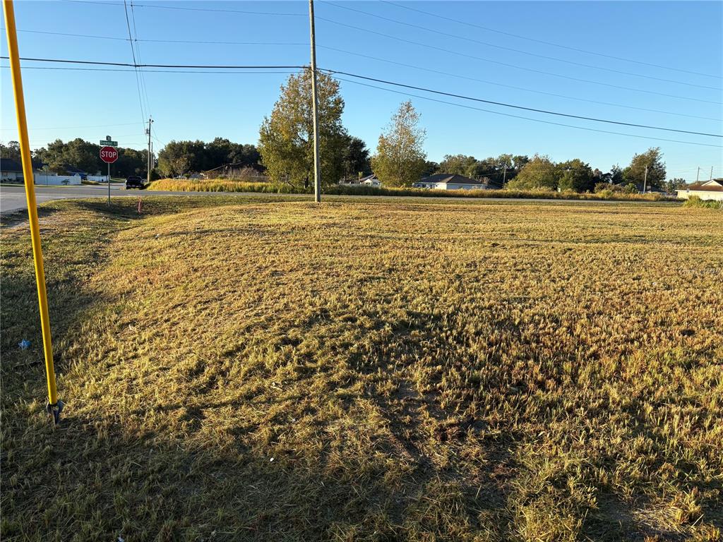0 Dogwood Road Ocala, FL 34472 - Photo 4 of 5
