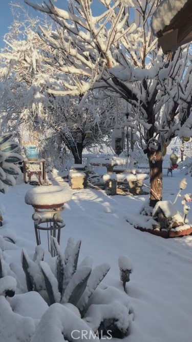 39550 Kirby Road Anza, CA 92539 - Photo 44 of 56 Snow photo