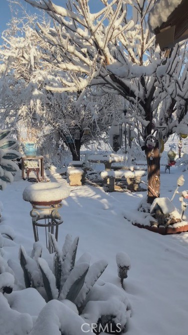 39550 Kirby Road Anza, CA 92539 - Photo 46 of 56 Snow photo