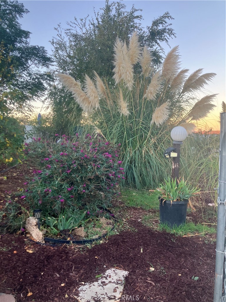 39550 Kirby Road Anza, CA 92539 - Photo 49 of 51 a view of a garden with a fountain