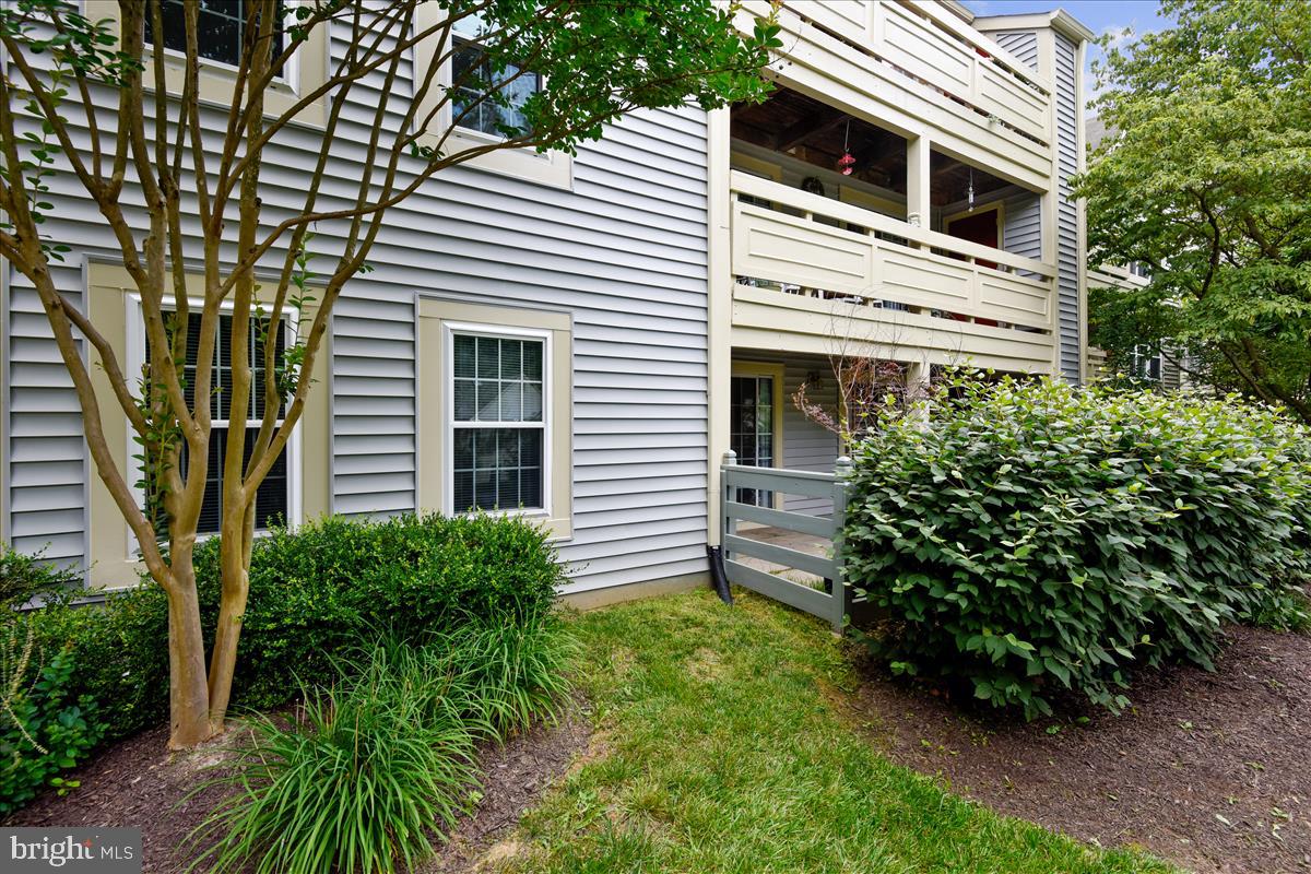 2220 Springwood Drive, Unit 102B Reston, VA 20191 - Photo 1 of 24 Back View from the Patio