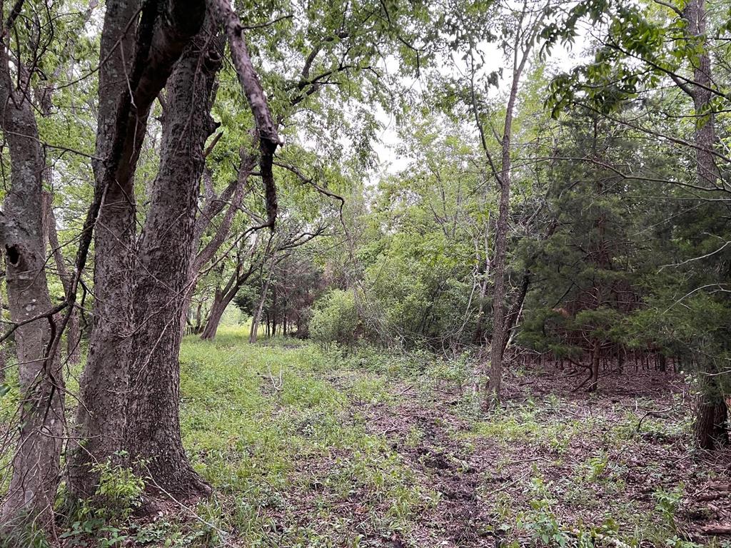 24200 County Road Roxton, TX 75477 - Photo 21 of 23