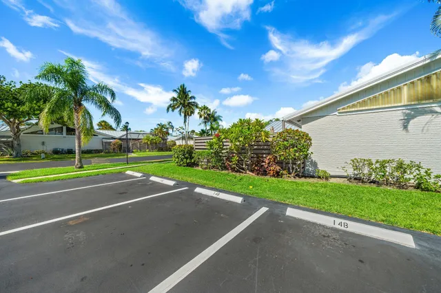 a view of a garden with a bench in the garden