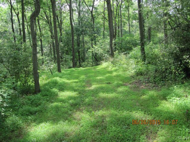 953 Clearfield Road Nazareth, PA 18064 - Photo 7 of 25 a view of a lush green forest