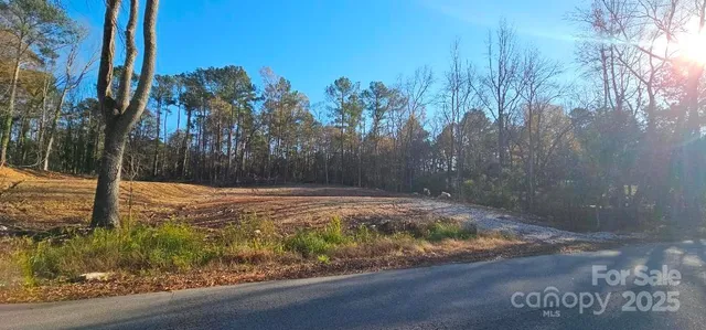 a view of a yard with trees