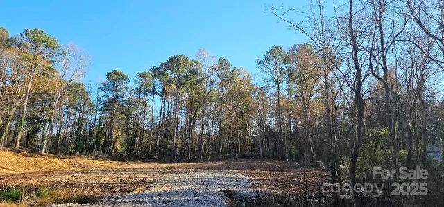a view of tree space with trees
