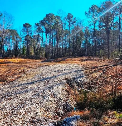 a backyard of a house with large trees and outdoor space
