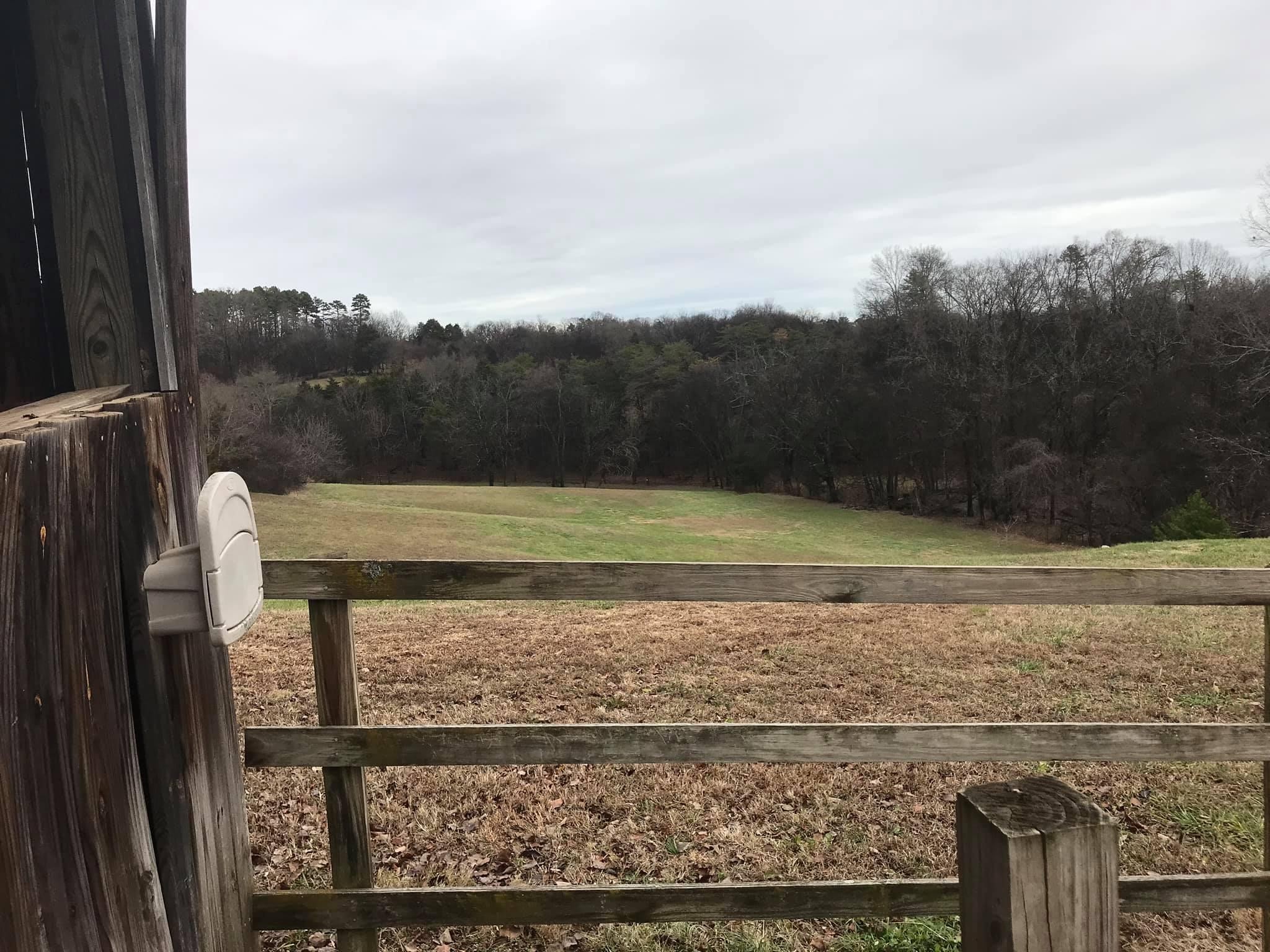 1518 McCarty Road Knoxville, TN 37914 - Photo 3 of 33 Gallery Image 3