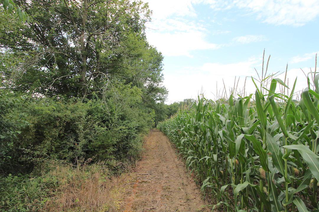3734 Ridgely Tract Road Southeast Heath, OH 43056 - Photo 15 of 33 Gallery Image 15