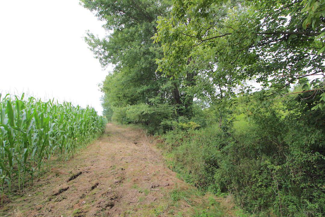 3734 Ridgely Tract Road Southeast Heath, OH 43056 - Photo 16 of 33 Gallery Image 16