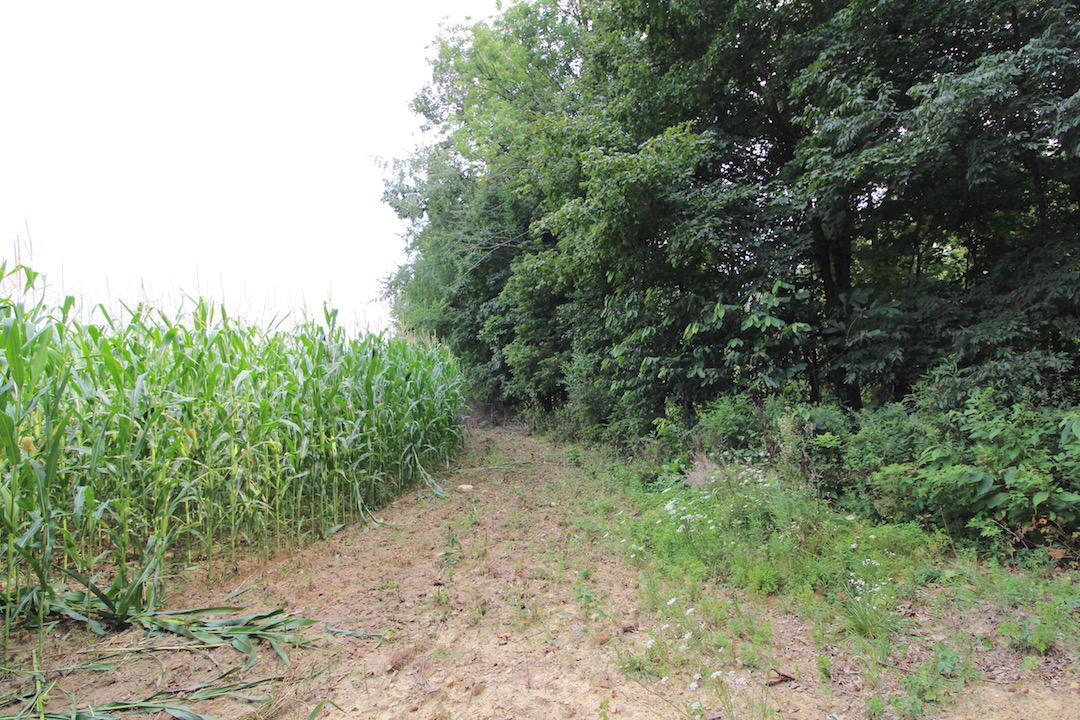 3734 Ridgely Tract Road Southeast Heath, OH 43056 - Photo 21 of 33 Gallery Image 21