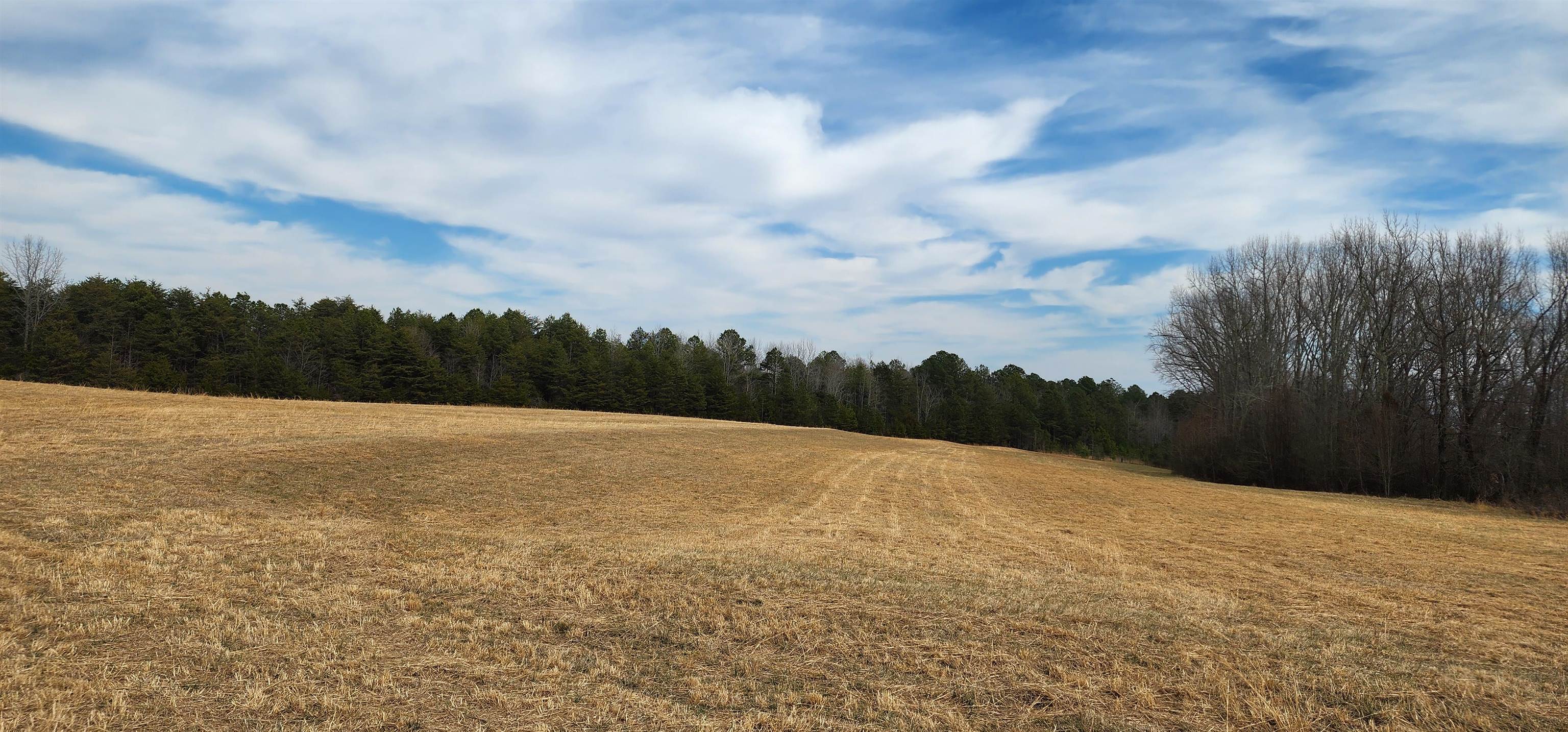 Lot 7 Ted Smith Road Rutherfordton, NC 28139 - Photo 6 of 21