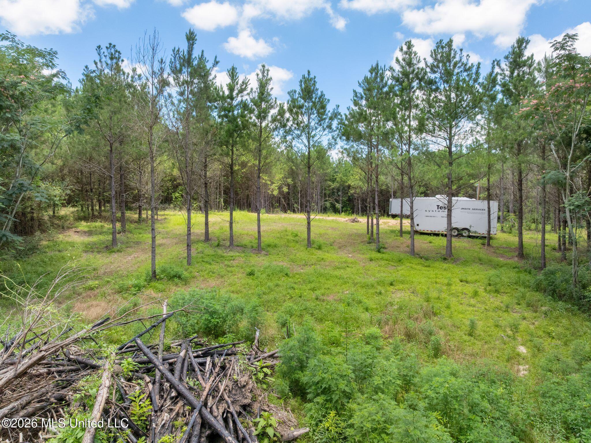 31-acres Ridgeland Road Bassfield, MS 39421 - Photo 9 of 27 85_Ridgeland_Rd-9