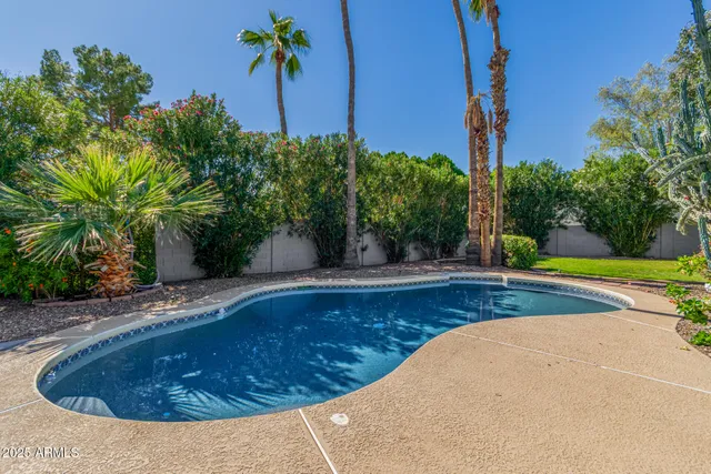 a view of a swimming pool with a yard