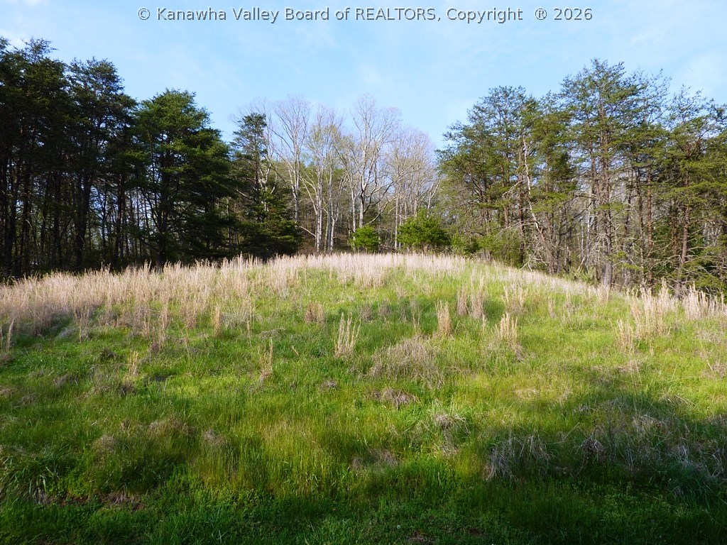 1073 Plum Orchard Road Kenna, WV 25248 - Photo 27 of 27 Gallery Image 27