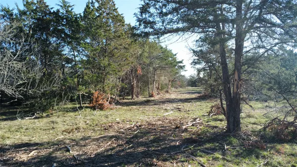 $84,900 | Tbd Lot 7 Tbd Road, Flatonia, TX 78941