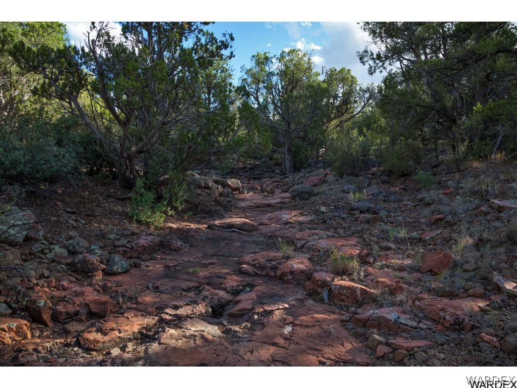 0 Happy Rnch Road Seligman, AZ 86337 - Photo 11 of 16 Gallery Image 11