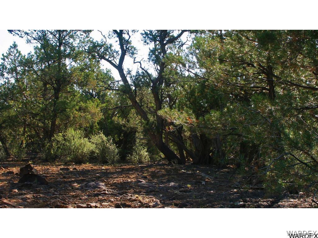 0 Happy Rnch Road Seligman, AZ 86337 - Photo 14 of 16 Gallery Image 14